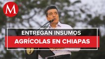 Gobernador de Chiapas entrega insumos agrícolas