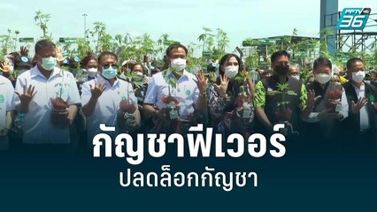 กัญชาฟีเวอร์ สุดคึกคัก มหกรรม 360 องศา ปลดล็อกกัญชา | โชว์ข่าวเช้านี้ | 11 มิ.ย. 65