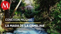 Parque lineal 'La Camelina', en Michoacán | Conexión Milenio