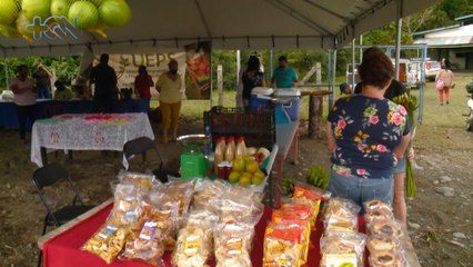 mqn-Heredianos crean feria de emprendedores en Horquetas de Sarapiquí-100622