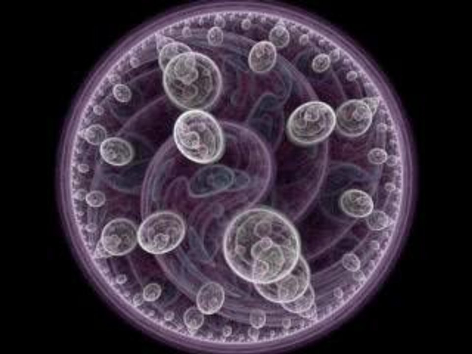 Electric Sheep1