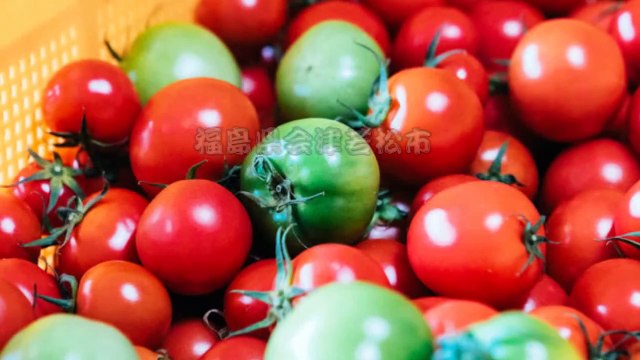 （たおやかインターネット放送)出来ることからSDGs会津トマトでエコなビール造り