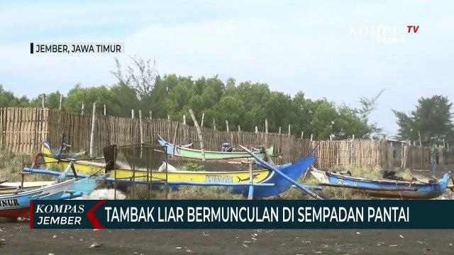 Banyak Tambak Udang Liar Berdiri di Sempadan Pantai Selatan