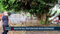 Kasus PMK Naik, Penutupan Pasar Hewan di Lumajang Diperpanjang