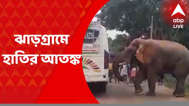 Jhargram News: ঝাড়গ্রামজুড়ে হাতির আতঙ্ক, প্রাণ বাঁচাতে বেরিয়ে ছুট স্থানীয়দের