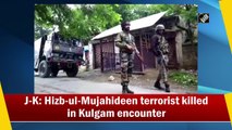 J&K: Hizbul Mujahideen terrorist killed in Kulgam encounter