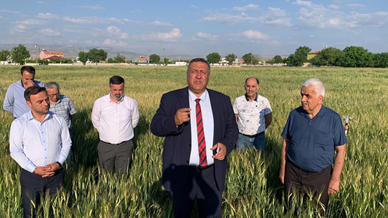 "Mazot hesabı ile buğday taban fiyatında çiftçi zararda"