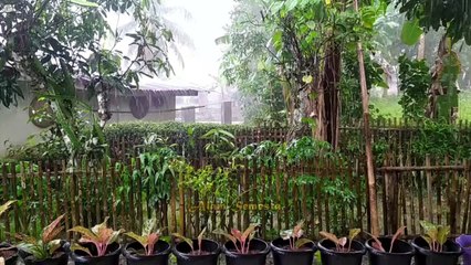 SUARA HUJAN DERAS DAN PETIR DAHSYAT - THE SOUND OF HARD RAIN AND POWERFUL LIGHTNING