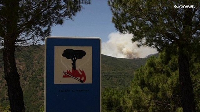 Spagna, sotto controllo l'incendio vicino Malaga