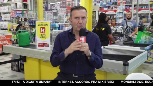 Il caso Calippo : l'avventura a lieto fine di un cucciolo abbandonato| Bau Miao