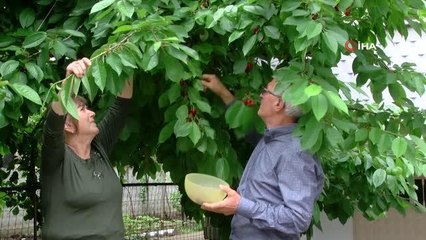 Bulgaristan'ın zulmünden kaçıp hayata Türkiye'de sarıldılar... Göçe zorlanan Bulgaristan Türkü çift yaşadıkları o günleri İHA'ya anlattı