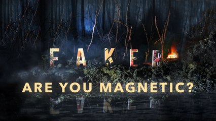 Faker - Are You Magnetic?