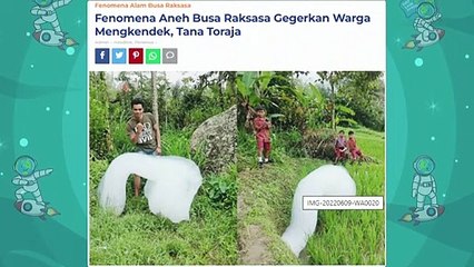 Warga Toraja Gempar! Gumpalan Putih Aneh Menyerupai Awan Tiba² Muncul Penuhi Desa