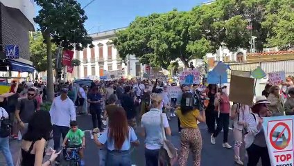 El ecologismo se moviliza para "Salvar Tenerife del colapso urbanístico"