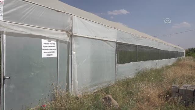 Çorak araziler, devlet desteğiyle oluşturulan seralarla üretime kazandırıldı