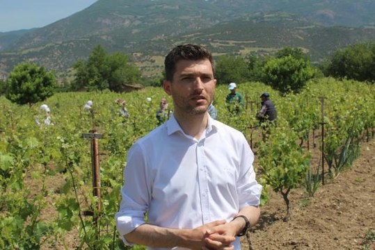 Erbaa'nın tescilli asma yaprağında hasat dönemi başladı