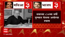 Ravi Paranjape Death : ज्येष्ठ चित्रकार रवी परांजपे यांचं निधन, 87व्या वर्षी घेतला अखेरचा श्वास