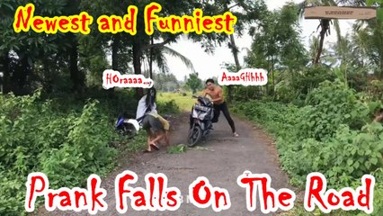 Newest and Funniest, Prank Falls On The Road