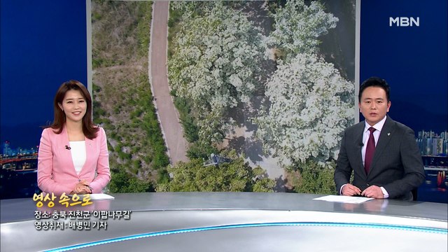 6월 11일 뉴스센터 클로징