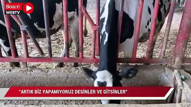 “Biz bittik” diyen üretici: Hayatımda ben böyle bir yıl görmedim. Artık gitsinler