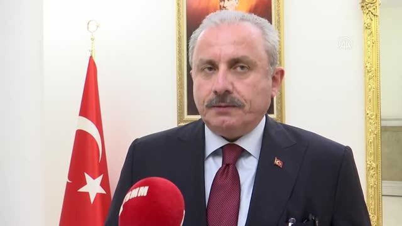 TBMM Başkanı Şentop: "(DBP'li Salihe Aydeniz'in polise yumruk atması) Bir milletvekilinin polise tokat atması çok çirkin, dokunulmazlığının...