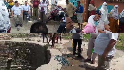 रीवा में फूड प्वाइजनिंग से 3 की मौत, 20 से अधिक बीमार