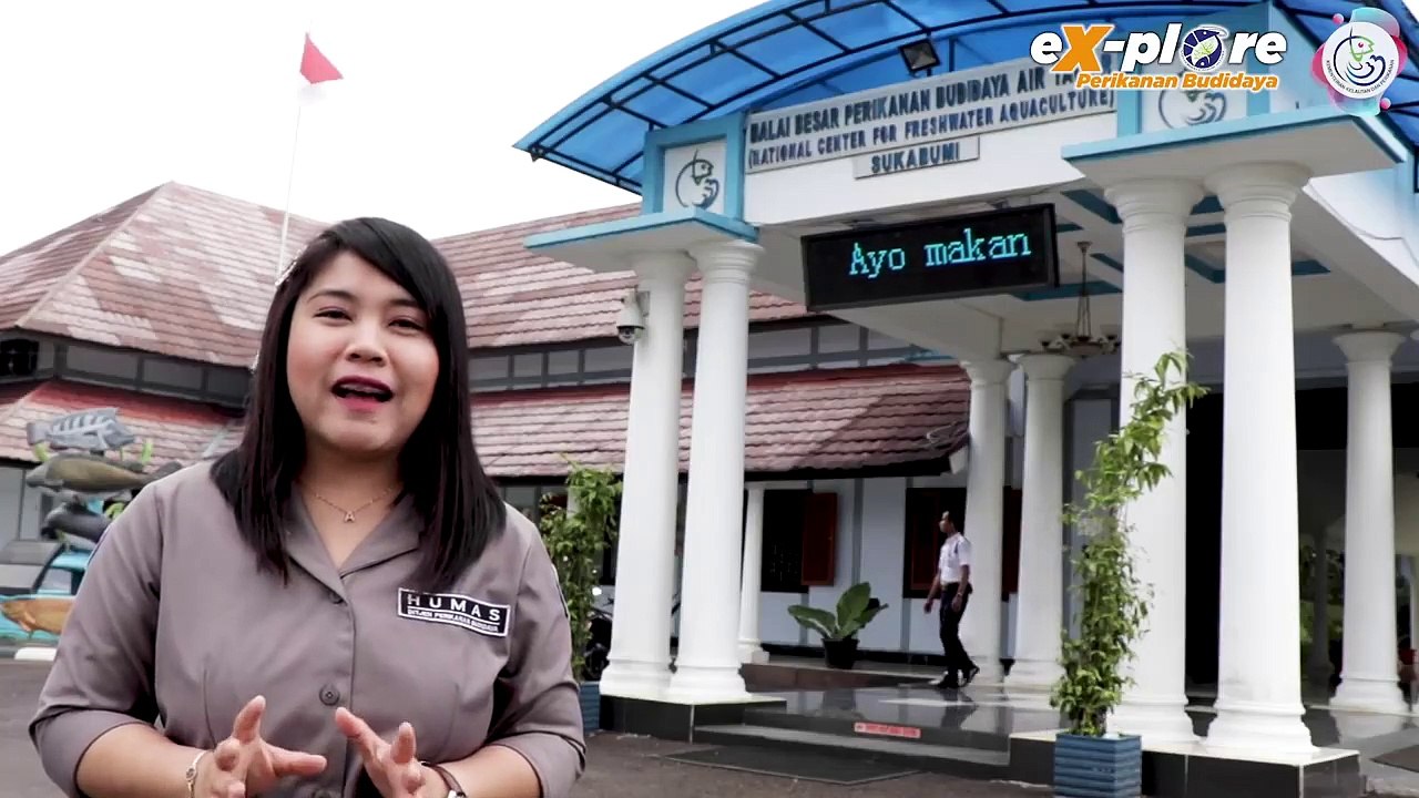 #Budidaya Ikan Nila #Perikanan Budidaya #Budidaya Sistem Bioflok #Keunggulan budidaya ikan nila sistem bioflok