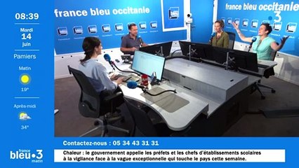 La chasse aux moustiques