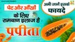 पपीता खाने के फायदे जो कर देंगे आपको हैरान | Benefits of Papaya | Garmi Mein Papita Khane Ke Fayde