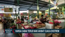 Pedagang Sebut Kenaikan Harga Cabai Imbas dari Hasil Panen Petani yang Rusak Akibat Cuaca Buruk