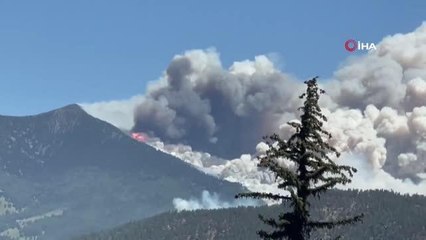 Arizona'da orman yangını: 2 bin 500 ev tahliye edildi