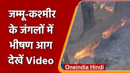 Jammu Kashmir: Rajouri के जंगल में लगी भीषण आग, देखें Video | वनइंडिया हिंदी |*Shorts