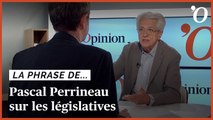 Pascal Perrineau: «Front républicain ou pas, les électeurs ne veulent plus voter 'contre'»