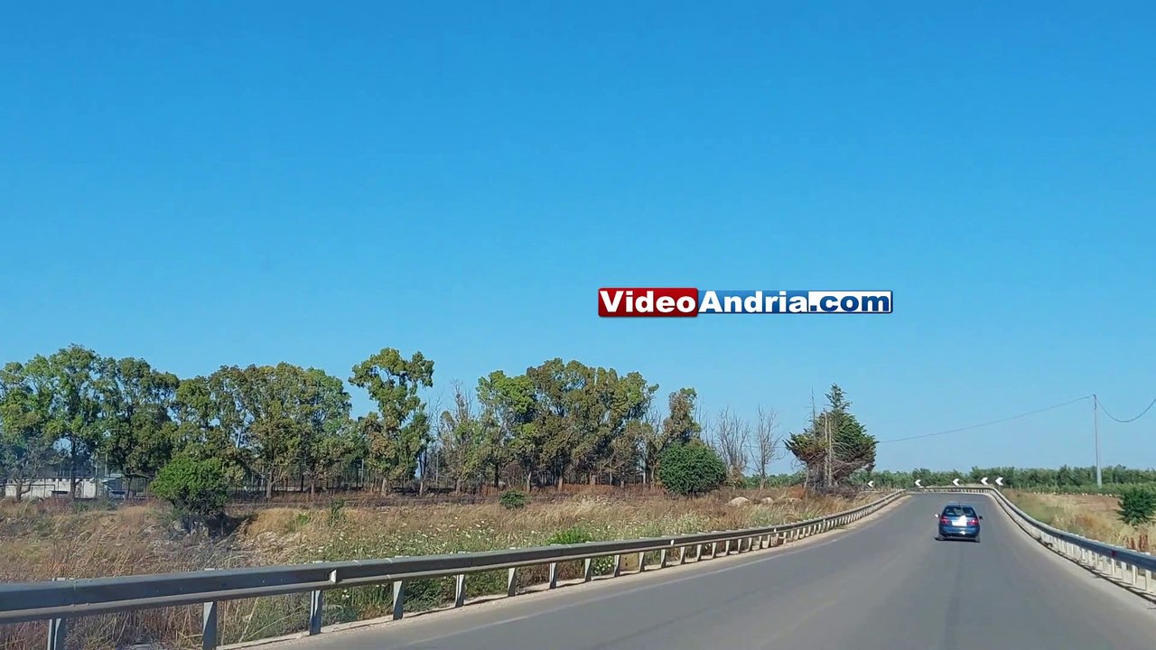 Grosso incendio sulla strada provinciale Andria-Bisceglie, vegetazione distrutta dalle fiamme