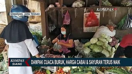 Dinas Perdagangan Kota Semarang Duga Penyebab Mahalnya Harga Cabai dan Sayur Akibat Cuaca Ekstrem