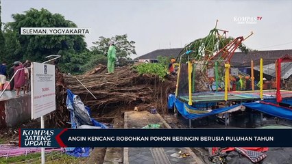 Angin Kencang Robohkan Pohon Beringin Berusia Puluhan Tahun