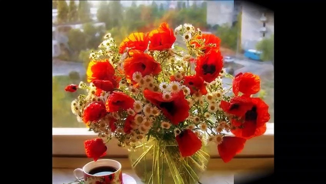 W dniu imienin Jana M 24.06.2022