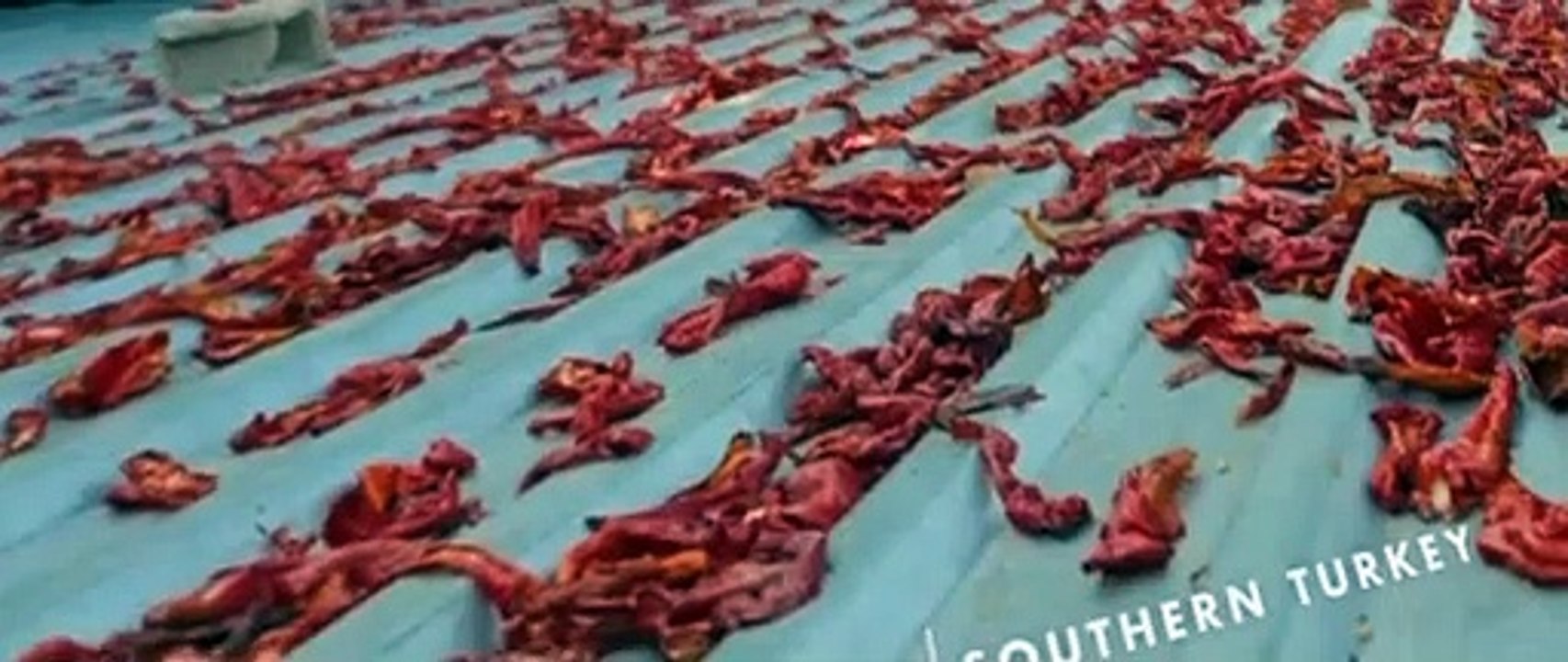 Chefs Table S05 E02