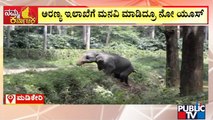 Wild Elephant Menace Increases In Kodagu District | Public TV