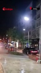 Ordu'da İnanılmaz Olay! Görenler Şaştı Kaldı