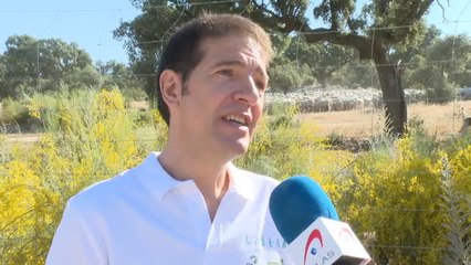 Miles de voluntarios contra la basuraleza