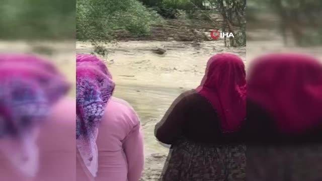 Ankara'da çiftlikleri su bastı, büyükbaş hayvanlar sele kapıldı