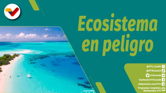 Punto Verde | Los Océanos: un ecosistema para cuidar