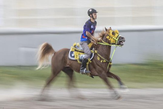 Erzurum'da Atlı Cirit İl Müsabakaları devam ediyor
