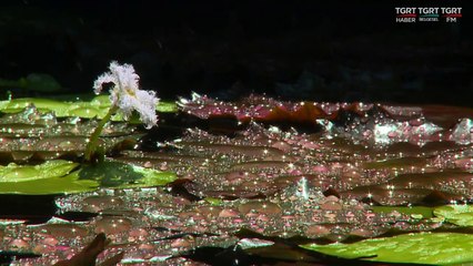 HUZURA DOGRU 20220611