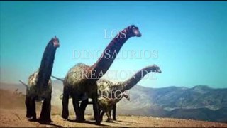 LOS DINOSAURIOS CREACIÓN DE DIOS HD.