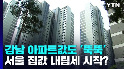 '철옹성' 강남도 수억씩 '뚝'...서울 집값 하락 본격화? / YTN