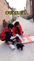 Best Funny Videos 2022 Chinese Funny clips