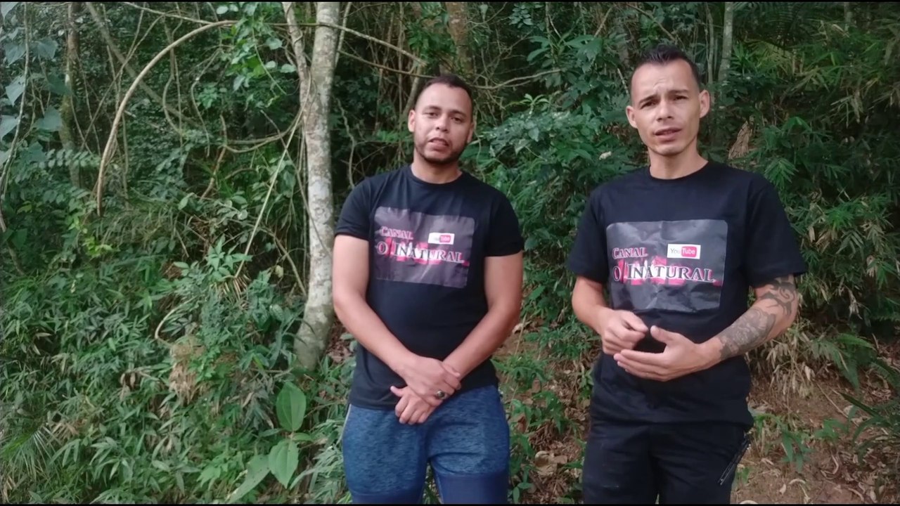 Antes e depois da gravação