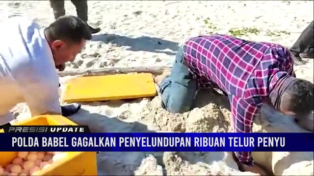 Polda Babel Gagalkan Penyelundupan Ribuan Telur Penyu Di Perairan Pulau Gelasa Kab. Bangka Tengah